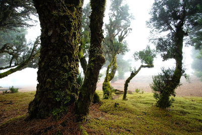 El Hierro