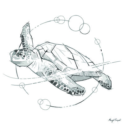 La tortue