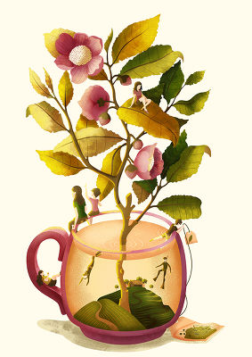 Tea time