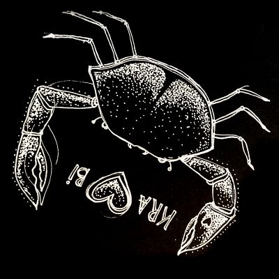 Illustration crabe